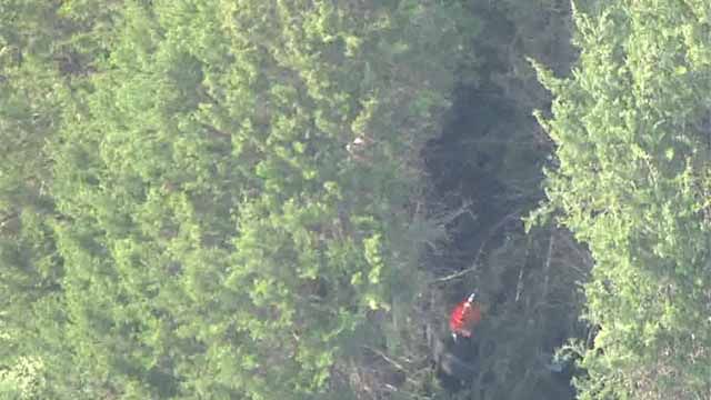 A car went off an embankment near Festus Tuesday evening. Credit: KMOV