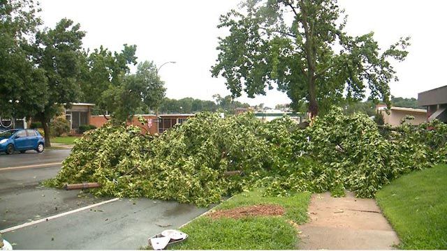 A tree limb after a Tuesday morning in the 6900 block of Chippewa (Credit: KMOV)